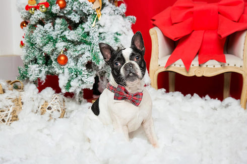 Unique Style Paws Christmas Dog Collar Bow Tie, Adjustable Collars for Small Medium Large Dogs