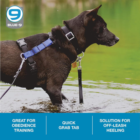 Blue-9 Dog Training Leash, 9 Inch Tab Lead for Obedience, Recall, and Agility Training, Made in The USA, Black