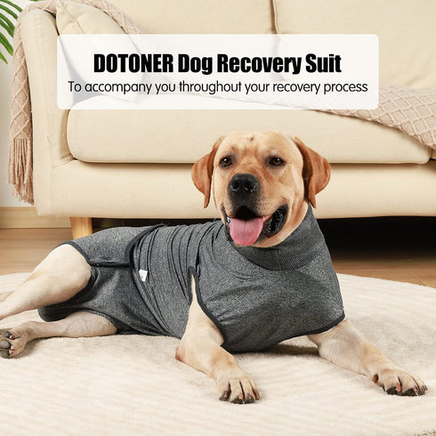 HEYWEAN Full Body Dog Diaper, Puppy Nappies for Male Female Dogs, Physiological Surgery Recovery Suit
