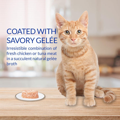 Shredded Chicken & Broth Gelée Cups with Green Tea Extract - INABA Twins for Cats, 1.23 Ounces, 12 Servings