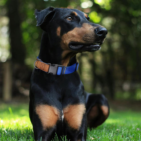 Mile High Life Dog Collars, Soft Cotton with Heavy Metal Buckle, Classic Puppy Collar with Genuine Leather Tips for