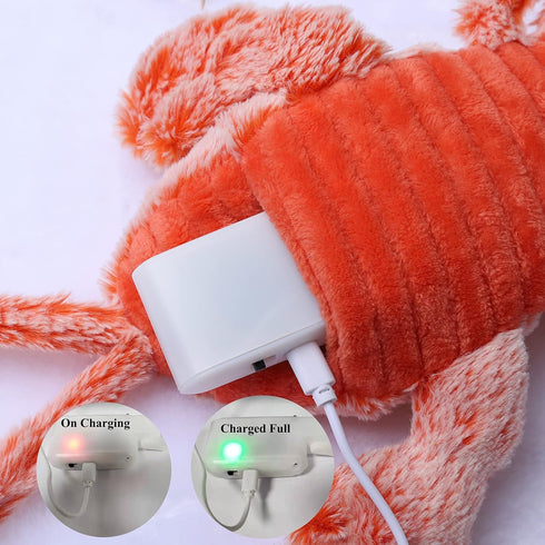 Flopping Lobster Toys for Cats & Small Dogs, Interactive Catnip Toys for Indoor Cats, USB Rechargeable