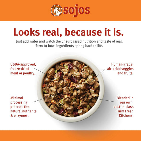SOJOS Complete Beef Recipe Dehydrated Dog Food, 1.75 lb, Yellow