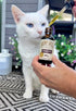 3 6 Immune 2 oz Hemp Well Thrive Oil for Dogs & Cats, Organic Hemp Oil, Omega & Supplement for Skin & Coat, Hip