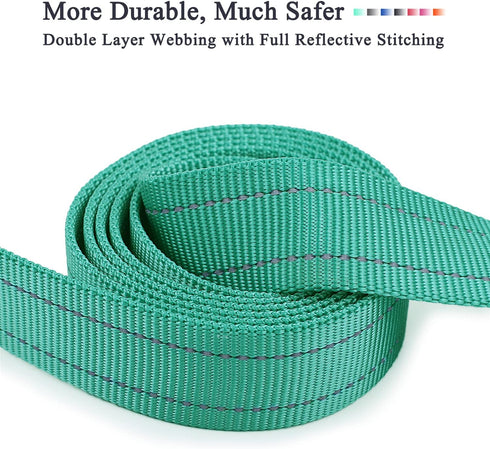 VIVAGLORY Dailyx Dog Leash, Puppy Leash for Training & Walking, Heavy Duty Double Layer Nylon, 6ft x 1in, Green
