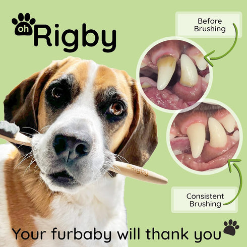 10,000 Dog Toothbrush- Ultra-Soft Bristles for Sensitive Pet Teeth & Gums- Natural Bamboo Toothbrush for Comfortable