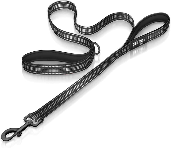 Reflective Nylon Dog Leash with Padded Double Handle - Heavy Duty Neoprene Control Training, 4 Feet Long, Black