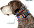Buckle-Down Plastic Clip Collar - Large Ariel/Flounder/Fish Trio Poses Pinks - 1.5" Wide - Fits 18-32" Neck