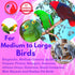 Bonka Bird Toys 1042 Duo Foraging Heart Vine Shredding Natural Parrot Toy for Quaker Conure Budgie