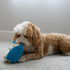 SPOT Gigglers Hedgehog Dog Toy with Giggle Sound | Textured, Plush Shake and Wiggle Hedgehog Giggle Toy for Small