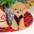 4 Pieces Buffalo Plaid Dog Sweaters with Leash Ring, Warm Fleece Vest Pullover for Small Puppy Cat Pets (X-Small)