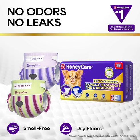 2 1 Package, 80 Count HONEY CARE Petrichor Female Dog Diaper, Camellia Fragrance, Emits Fresh Scent While Absorbing