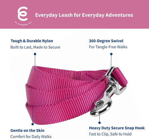Blueberry Pet Essentials Very Berry Dog Leash for Large Dogs, 4' * 1" Heavy Duty Nylon Lead
