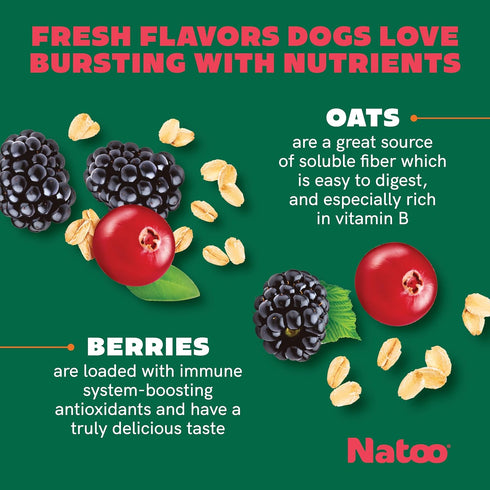 NATOO Dog Biscuits for Small Dogs & Puppies, Crunchy Oats & Berry Treats, 8 oz