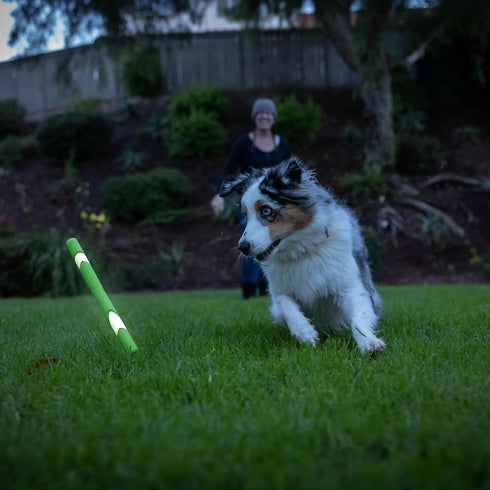 Chuckit! Max Glow Ultra Fetch Stick Outdoor Dog Toy, 12 Inches for All Breed Sizes