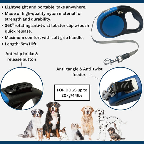 ATE Pro. USA 5 Set, Set, Puppy Supplies Starter Kit, pc Retractable Leash, Studded Leather Collar, Pet Grooming Brush