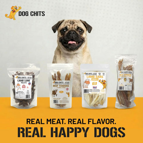 7-9 inch, 6 Dog Chits Beef Tendons for Dogs & Puppies - High Protein, Low Fat - All Natural Beef Tendon Chew - Chewy