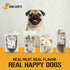 7-9 inch, 6 Dog Chits Beef Tendons for Dogs & Puppies - High Protein, Low Fat - All Natural Beef Tendon Chew - Chewy