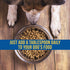 Shed-X Liquid Dog Supplement, 16oz – 100% Natural – Helps Control Excessive Shedding with Fish Oil