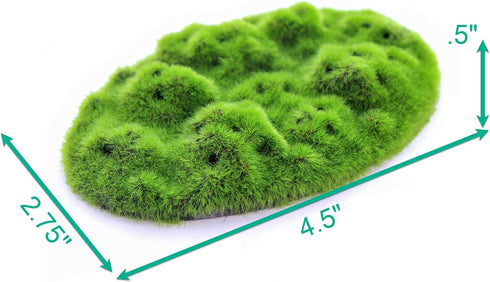 Penn-Plax Aqua-Flora Living Resin Decoration with Embedded Glosso Plant Seeds for Freshwater Fish