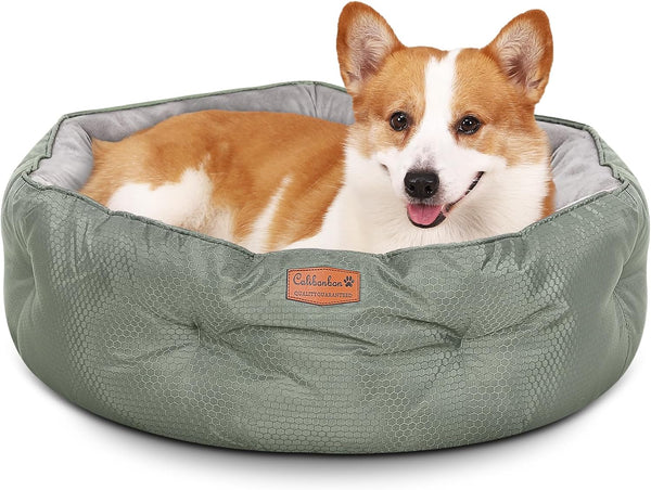 Dual-Sided Dog Beds for Medium & Small Dogs, Round Cat Beds for Indoor Cats, Washable Pet Bed with Slip-Resistant