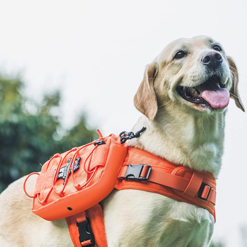 OneTigris Dog Backpack for Medium & Large Dogs, Mammoth Tactical Nylon Pack with Side Pockets