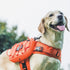 OneTigris Dog Backpack for Medium & Large Dogs, Mammoth Tactical Nylon Pack with Side Pockets