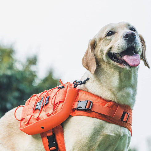 OneTigris Dog Backpack for Medium & Large Dogs, Tactical Nylon Pack with Side Pockets for Hiking