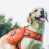 OneTigris Dog Backpack for Medium & Large Dogs, Tactical Nylon Pack with Side Pockets for Hiking