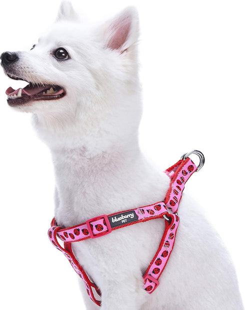 Blueberry Pet Essentials 2 Patterns Step-in Ladybug Designer Dog Harness, Chest Girth 16.5" - 21.5", Small