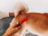 Tuff Pupper Deep Knot and Mat Remover Tool, Dematting Comb for Dogs, Cats, Small Animals, Grooming Comb for Difficult