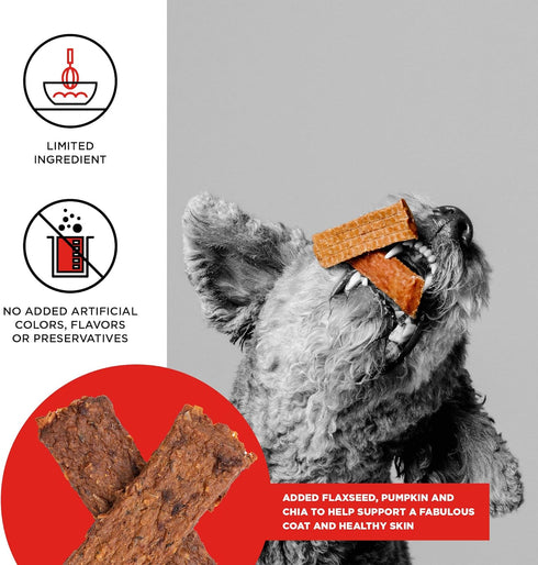 BIXBI Skin & Coat Support Beef Liver Jerky Dog Treats, 12 oz - USA Made Grain Free Treats for Shiny Coats