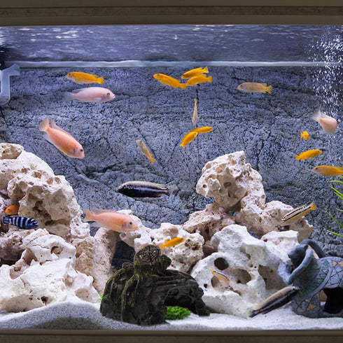 DELURA House Hideout Cave Decorative Amphibians Basking Shrimp Short Lizard Lizards Caves Shelf and Breeding Landing