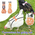 Xokipol 3 1.1 3.3 lb) Pcs Chicken Diapers for Hens, Pet Duck Diapers with Bow Tie, Washable Duck Clothes & Poultry