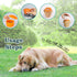 MARDOGE Breeds,Frozen Anxiety(Pack 2) Multi-Functional Interactive Dog Toys for Aggressive Chewers, Indestructible Dog