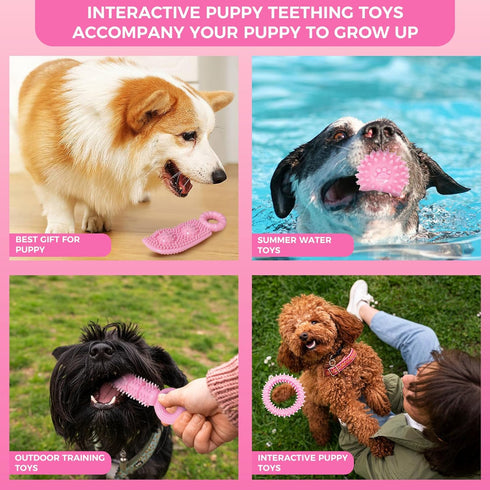 Puppy Toys, 9 Pack Chew Toys for Teething, Cute Pink Soft Durable Interactive Toys for Small Dogs