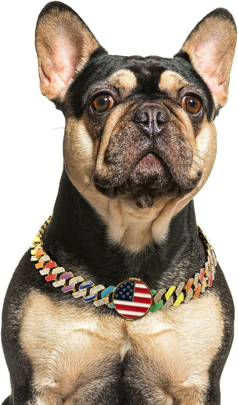 Gold Chain Dog Collars with Personalized Diamond - Cuban Link 19MM Heavy Duty Chew Proof, AirTag Holder (XL: 22"-26")