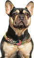 Gold Chain Dog Collars with Personalized Diamond - Cuban Link 19MM Heavy Duty Chew Proof, AirTag Holder (XL: 22"-26")