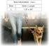 KRUZ PET KZV1020H-03L Short Traffic Leash, Reflective Heavy Duty Training Dog Leash, Red, 1" x 20"