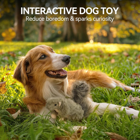 Classic Squirrel Pet Toy for Small Dogs