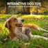 Classic Squirrel Pet Toy for Small Dogs