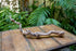 Grapewood Branches with Tillandsia Air Plants - Multiple Sizes (Medium)