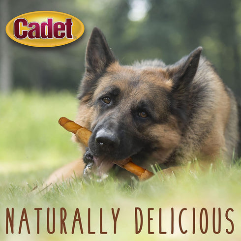 Cadet Gourmet Shish Kabob Dog Treats for Large Dogs, Healthy & Natural Chicken & Sweet Potato Chew Sticks, 10 Inch (4