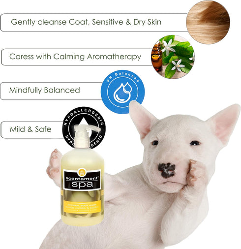 Best Shot Spa Oatmeal Body Wash, Lemon Vanilla, 16 oz