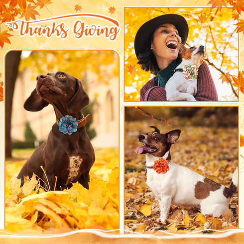 Sanwuta 30 Pcs Fall Dog Collar Flowers, Thanksgiving Pet Bow Ties Holiday Accessories for Small Medium Large Dogs