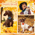 Sanwuta 30 Pcs Fall Dog Collar Flowers, Thanksgiving Pet Bow Ties Holiday Accessories for Small Medium Large Dogs