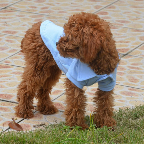 lovelonglong Basic Dog Polo Shirts, Premium Cotton, Sky-Blue XL for Large Medium Small Dogs