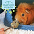 Chinchilla Oxbow Enriched Life Twisty Rings, Rabbit & Guinea Pig Toy, Hamster, & Rat Chew Rings, Small Pet Enrichment