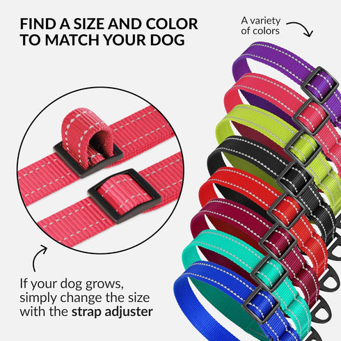 CollarDirect Reflective Martingale Dog Collar, Heavy Duty Nylon Training for Small Medium Large Dogs (S, Neck 11"-15",
