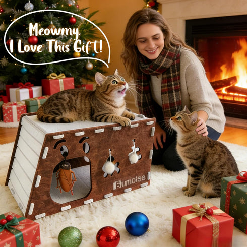 Bumotse 22lb, Felt Cat Cave House for Indoor Cats with Catnip Toy, Large Cat Bed Tunnel for Scratching Play, No-Tool